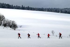Read more about the article Zbiegowisko 2024 – Spotkanie miłośników narciarstwa biegowego